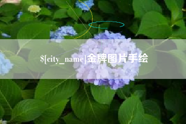 邵阳金牌图片手绘