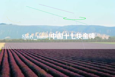 邵阳中国十七块金牌