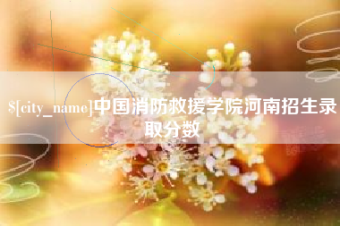邵阳中国消防救援学院河南招生录取分数