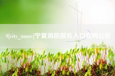邵阳宁夏消防报名入口官网公告