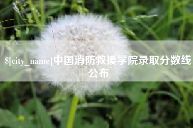 邵阳中国消防救援学院录取分数线公布