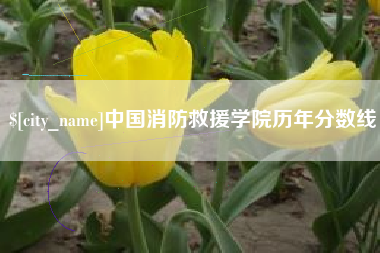 邵阳中国消防救援学院历年分数线
