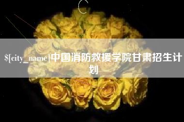 邵阳中国消防救援学院甘肃招生计划