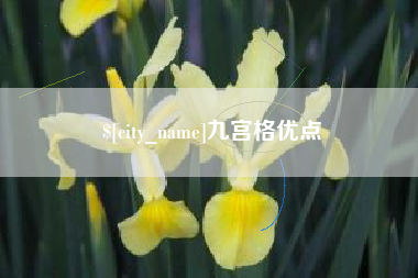 邵阳九宫格优点