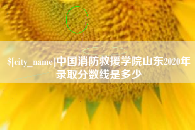 邵阳中国消防救援学院山东2020年录取分数线是多少
