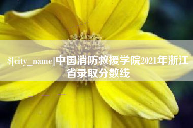 邵阳中国消防救援学院2021年浙江省录取分数线