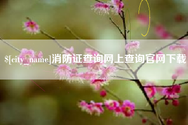 邵阳消防证查询网上查询官网下载