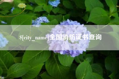 邵阳全国消防证书查询