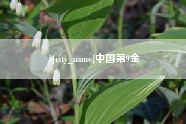 邵阳中国第9金