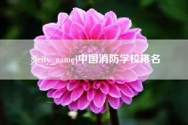 邵阳中国消防学校排名