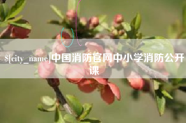 邵阳中国消防官网中小学消防公开课