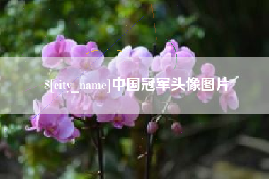 邵阳中国冠军头像图片