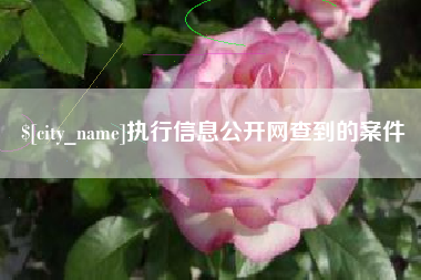 邵阳执行信息公开网查到的案件