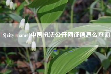 邵阳中国执法公开网征信怎么查询