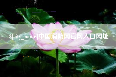 邵阳中国消防网官网入口网址