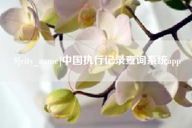 邵阳中国执行记录查询系统app