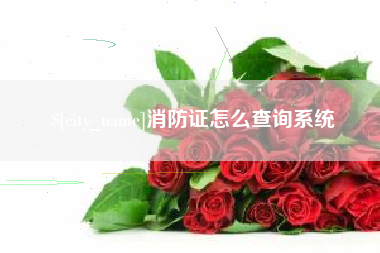 邵阳消防证怎么查询系统
