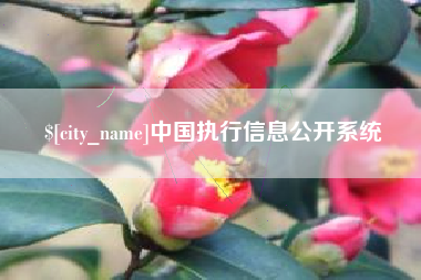 邵阳中国执行信息公开系统