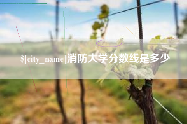 邵阳消防大学分数线是多少