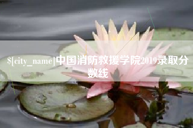 邵阳中国消防救援学院2019录取分数线