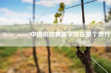 邵阳中国消防救援学院在那个地方