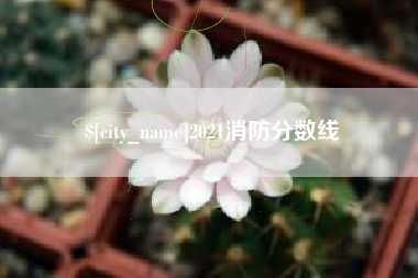 邵阳2021消防分数线