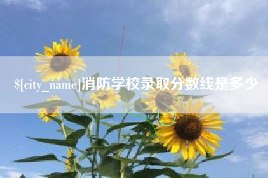 邵阳消防学校录取分数线是多少