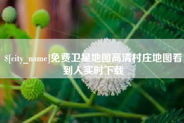 邵阳免费卫星地图高清村庄地图看到人实时下载