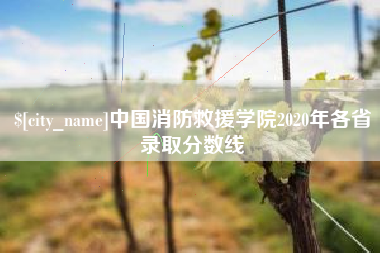 邵阳中国消防救援学院2020年各省录取分数线
