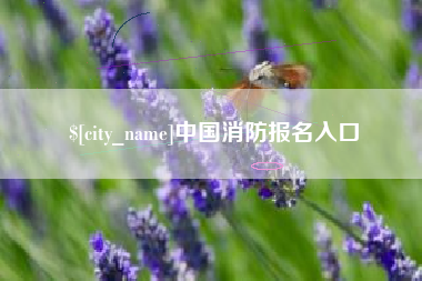 邵阳中国消防报名入口