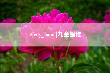 邵阳九金是谁
