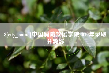 邵阳中国消防救援学院2019年录取分数线
