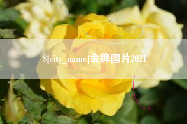 邵阳金牌图片2021