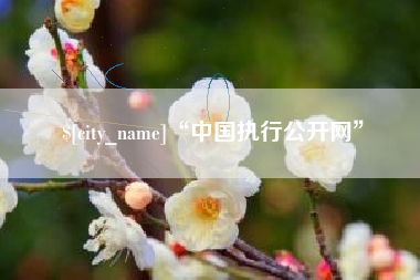 邵阳“中国执行公开网”