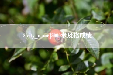 邵阳5000米及格成绩