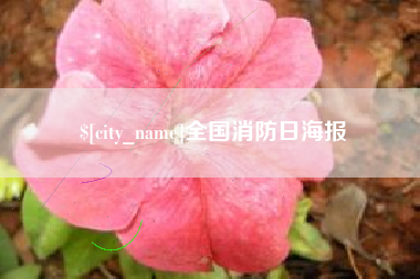邵阳全国消防日海报