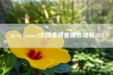 邵阳中国金牌是哪些项目2021