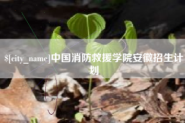 邵阳中国消防救援学院安徽招生计划