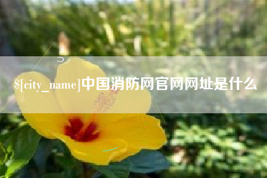 邵阳中国消防网官网网址是什么