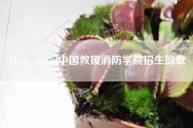 邵阳中国救援消防学院招生简章