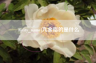 邵阳九金指的是什么