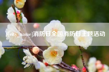邵阳消防日全国消防日主题活动