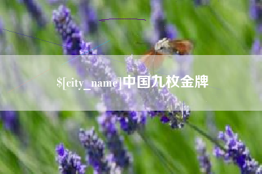 邵阳中国九枚金牌