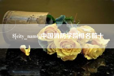 邵阳中国消防学院排名前十