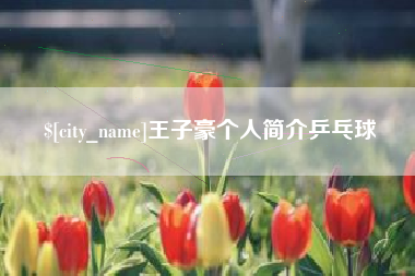 邵阳王子豪个人简介乒乓球