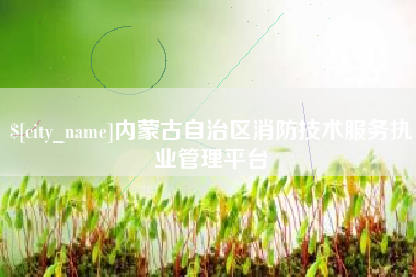 邵阳内蒙古自治区消防技术服务执业管理平台