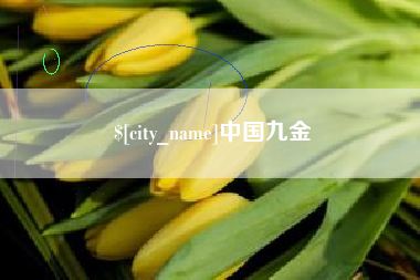 邵阳中国九金