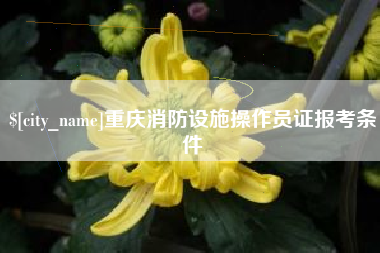 邵阳重庆消防设施操作员证报考条件