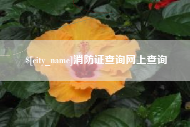 邵阳消防证查询网上查询