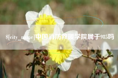 邵阳中国消防救援学院属于985吗